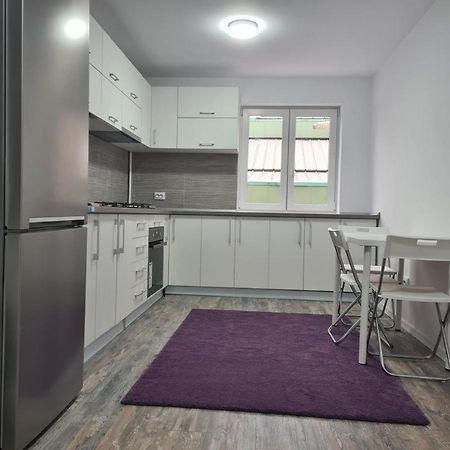 Apartament Terra トゥルゴヴィシュテ エクステリア 写真